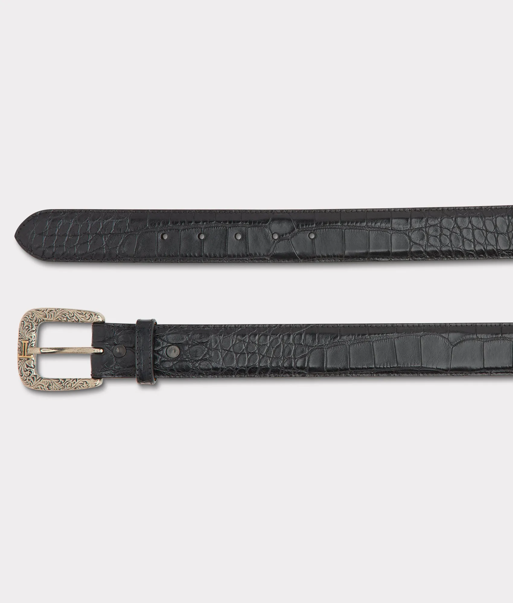 American Alligator :: Black
