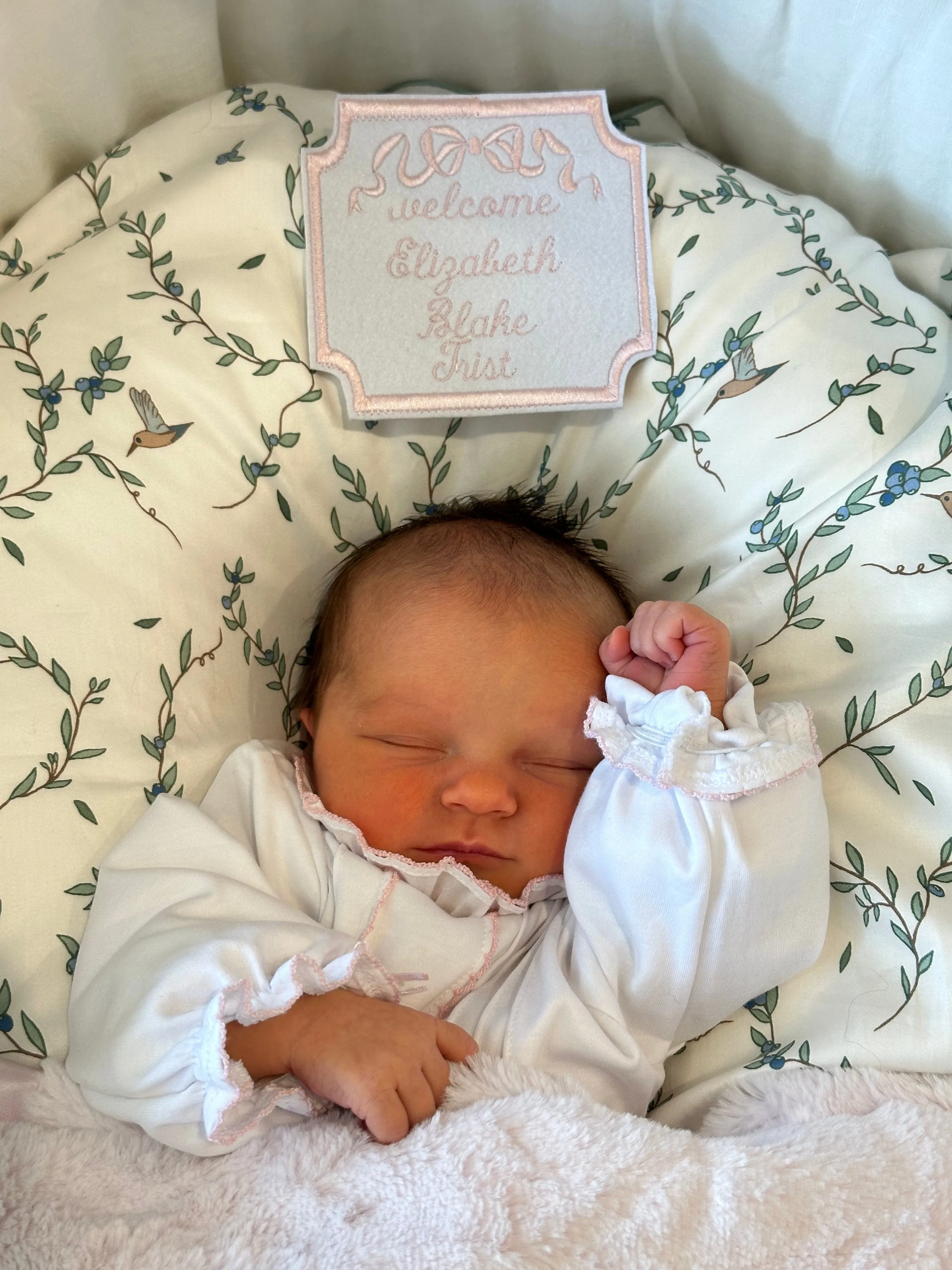Bassinet Baby Banner