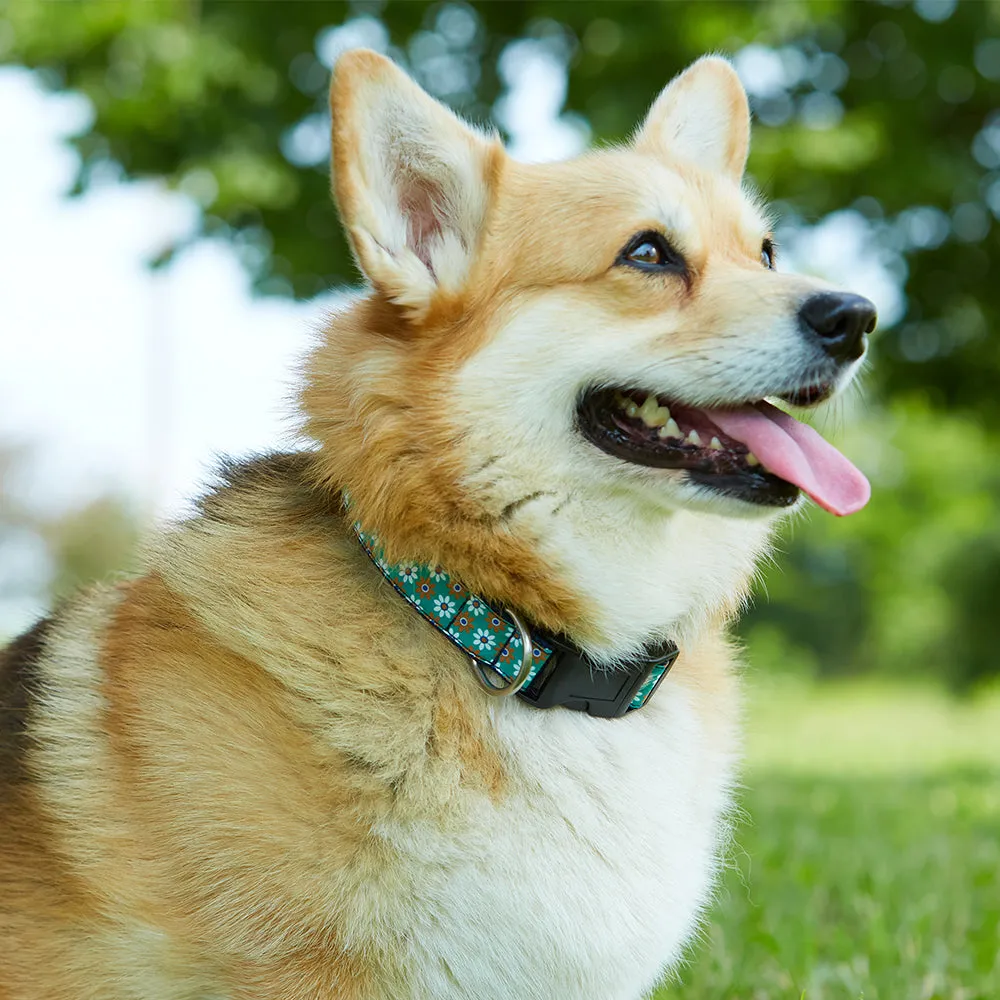 Bethany Beach - Dog Collar