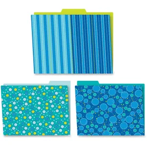 Carson Dellosa Education Organizer Folder
