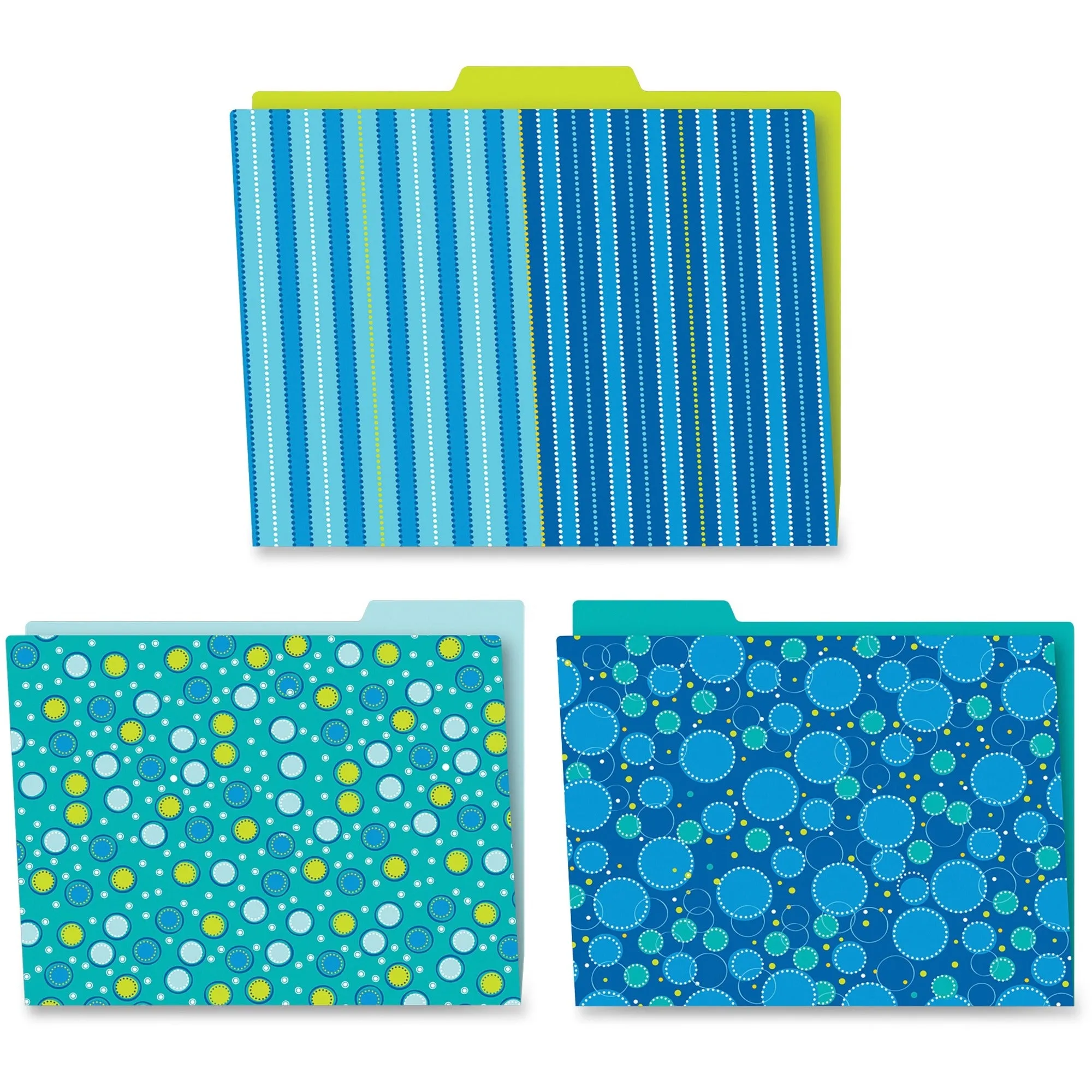 Carson Dellosa Education Organizer Folder
