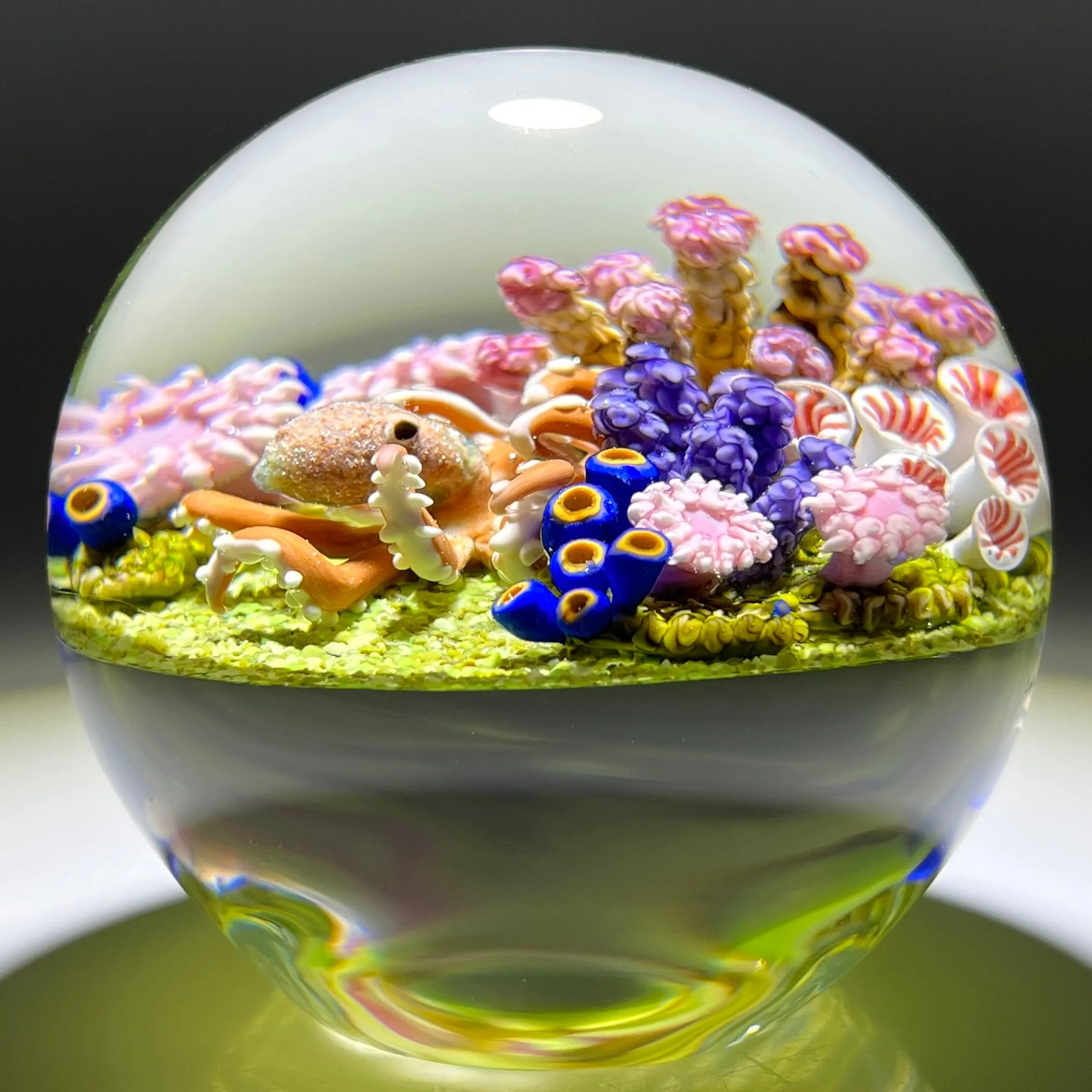 Cathy Richardson 2021 Flamework Glass Art Paperweight Octopus with Coral