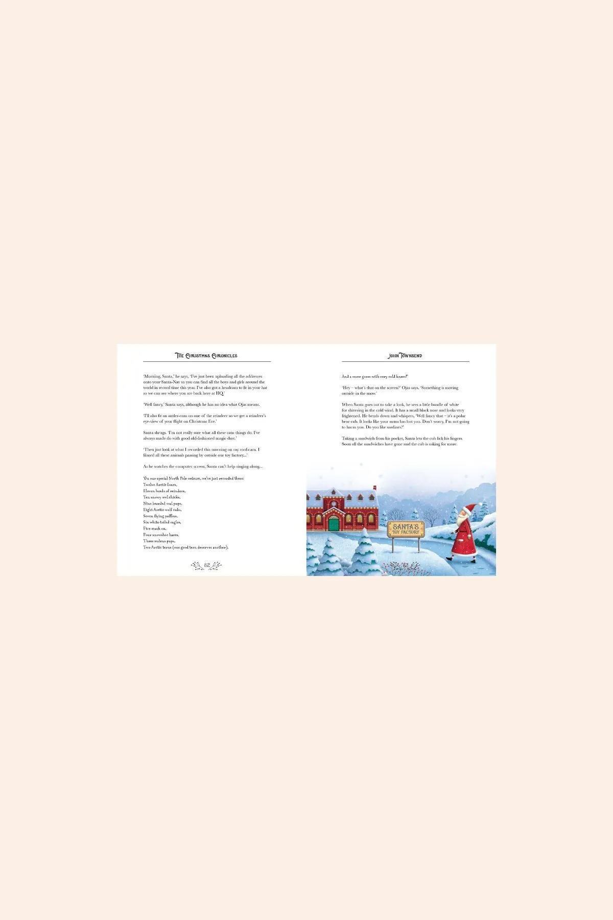 Christmas Chronicles