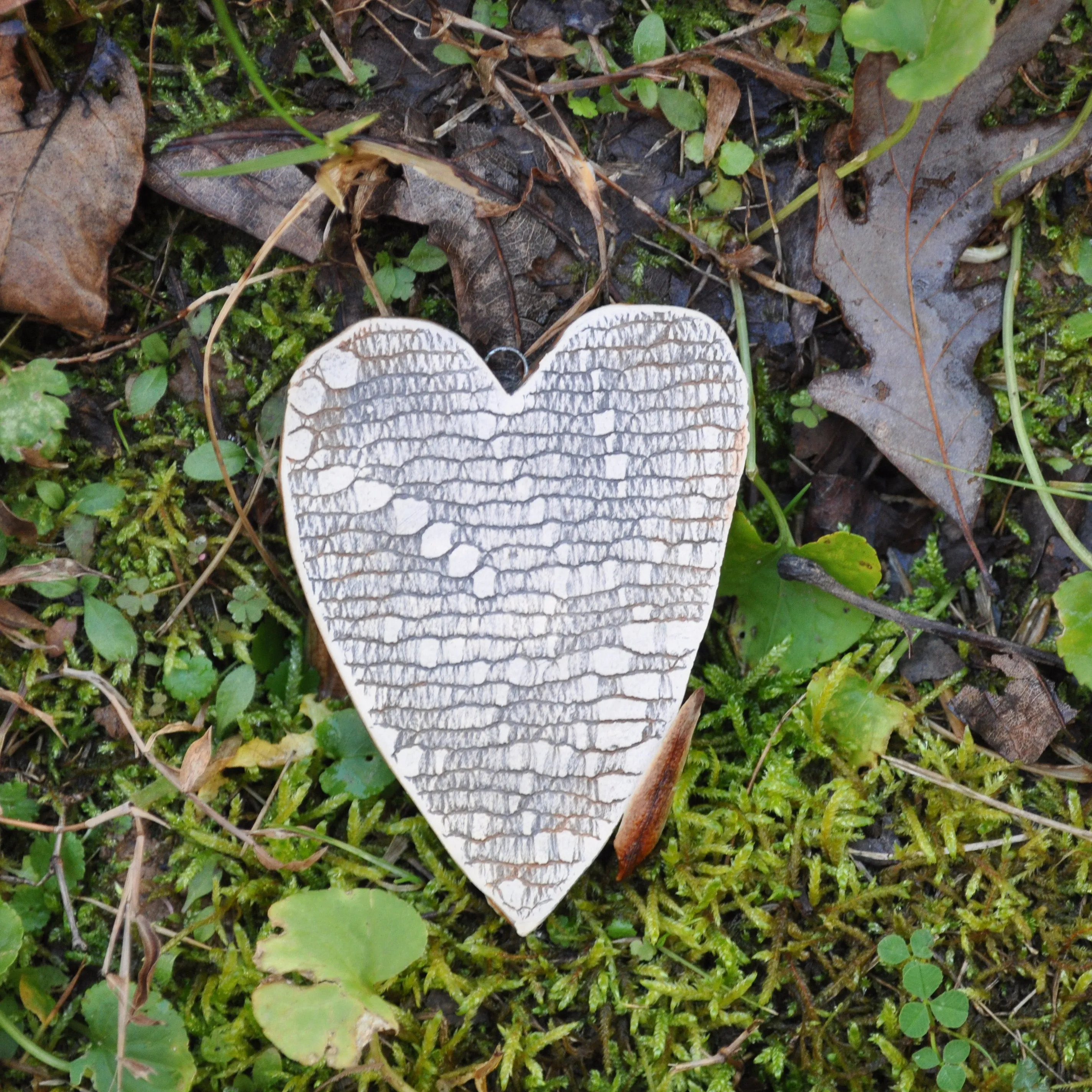 Clay Fossil Ornament, Star Gazer