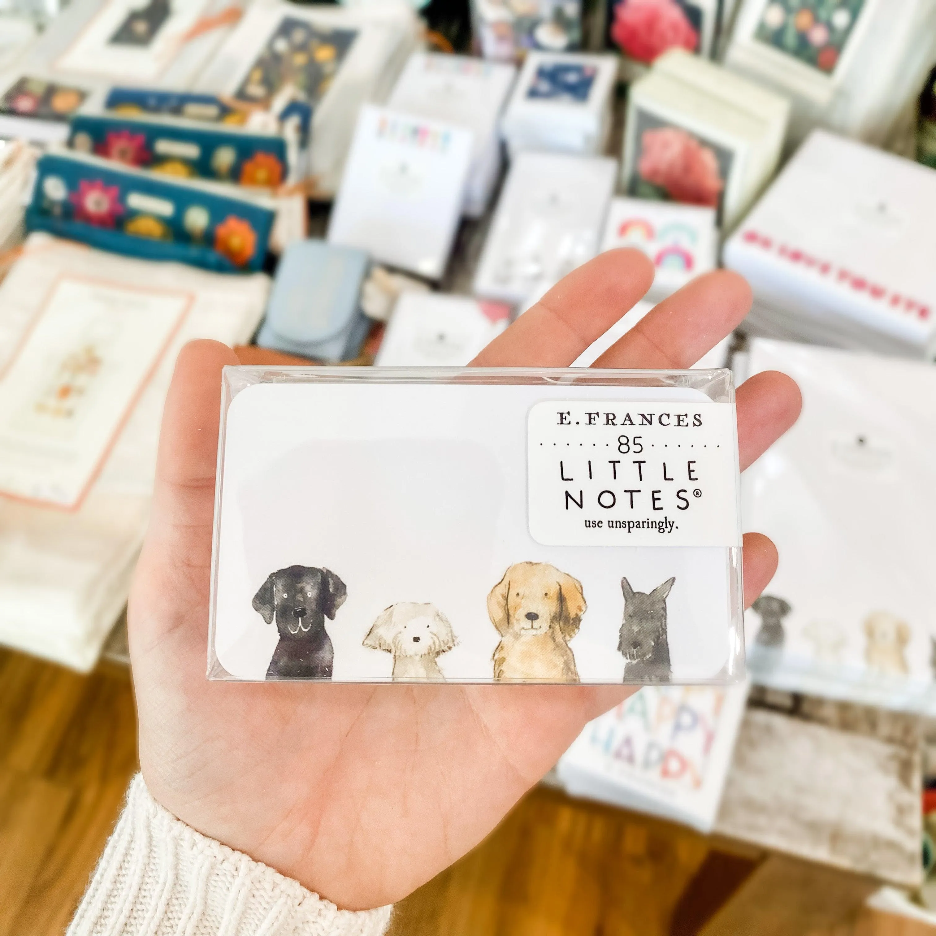 Dog Days Little Notes