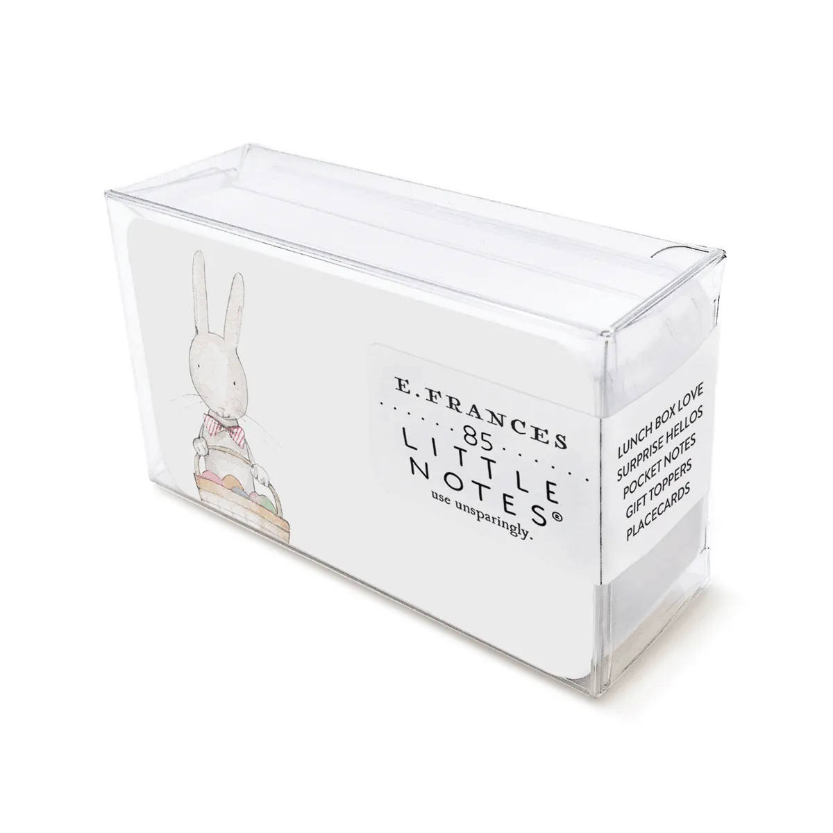 Easter Bunny Little Notes