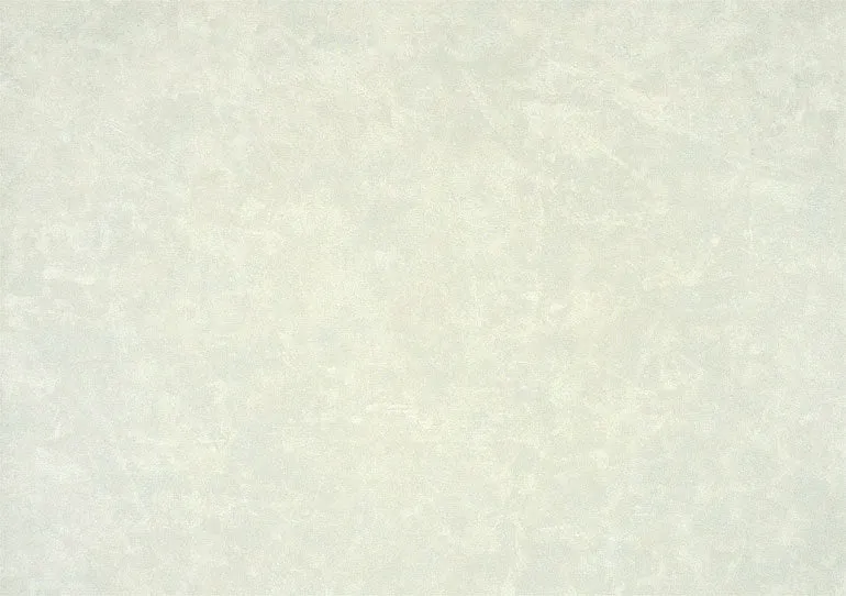 Grey Silver KT19173 Wallpaper