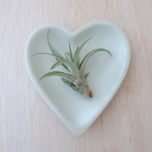 Heart Dish of Kisii