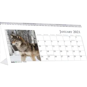 House of Doolittle Wildlife Photo Desk Top Tent Calendars