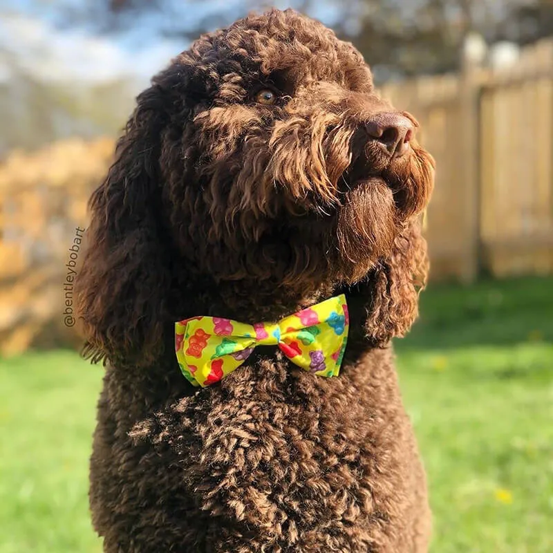 Huxley & Kent Gummy Bears Bow Tie