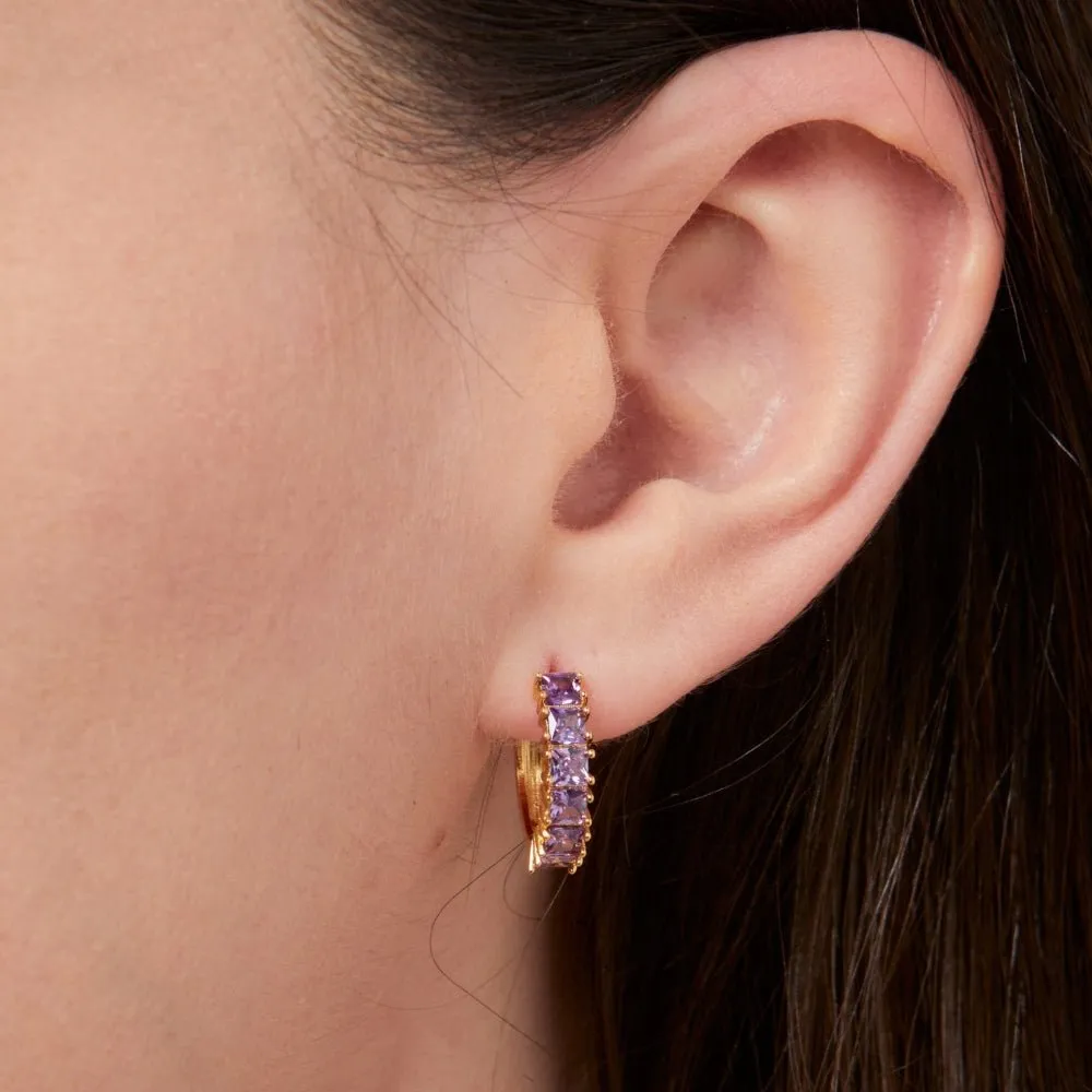 Knight & Day Classic Amethyst Hoops Q531ETR