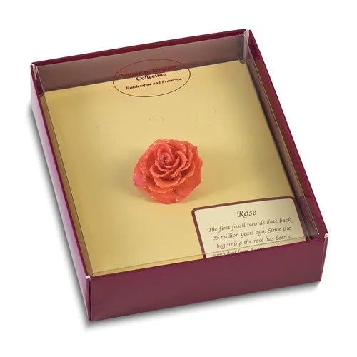 Lacquer Dipped Pink Real Rose Adjustable Ring