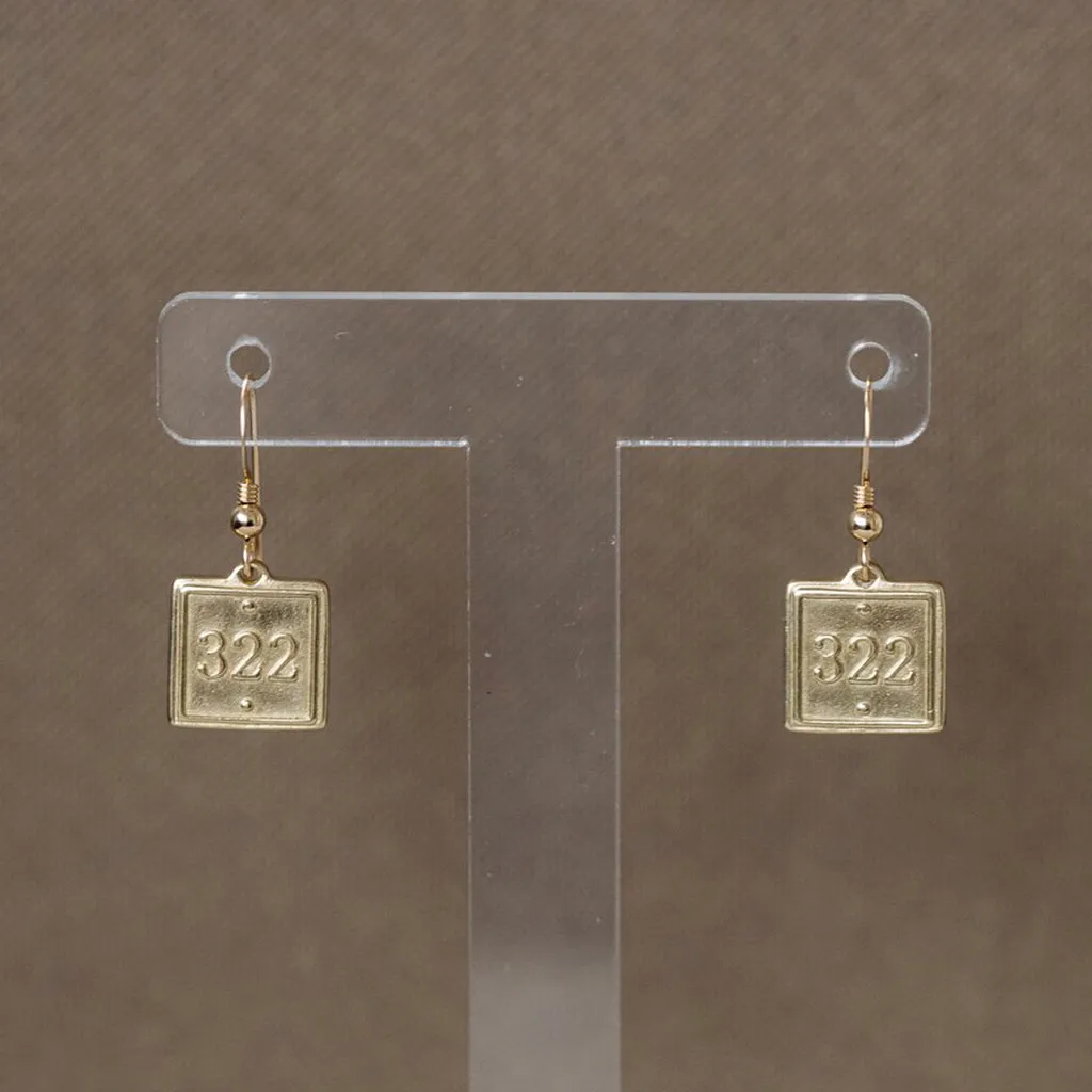 Lamentations 3:22 Earrings