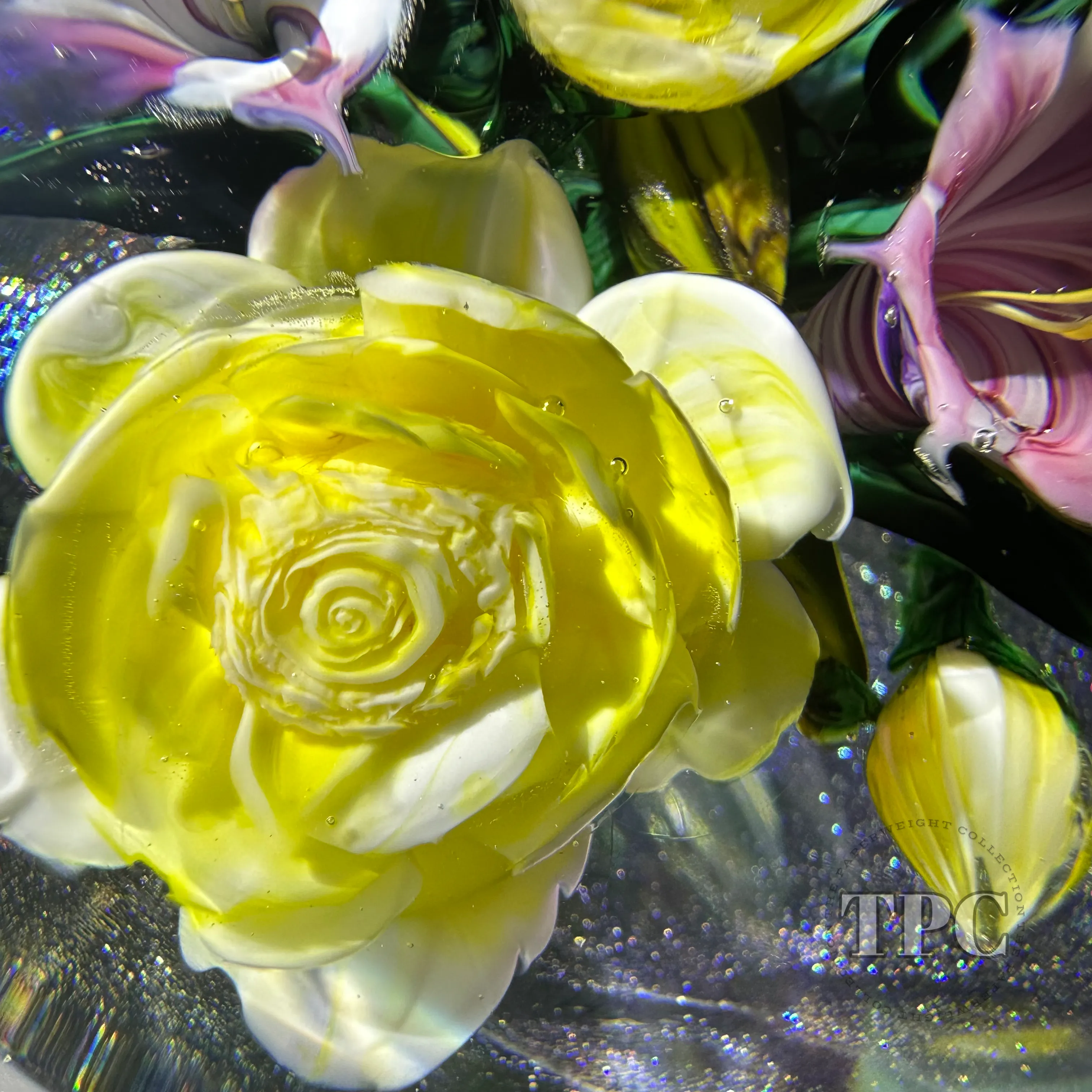 Melissa Ayotte 2024 Glass Art Paperweight Flamework Flower Bouquet on Dichroic Clear Ground