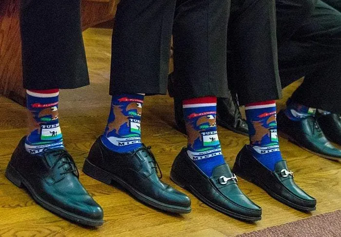 Michigan State Flag Socks
