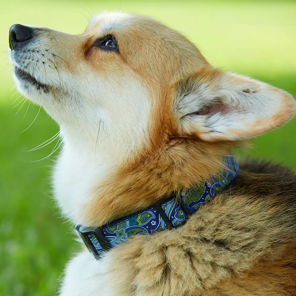 Midnight Harbor - Dog Collar