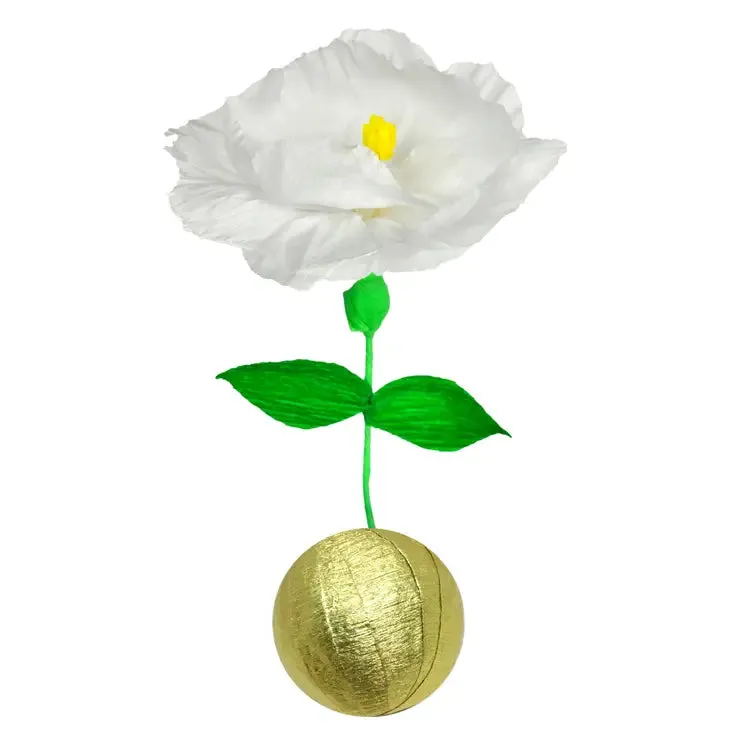 Mini Surprise Flower Bulb