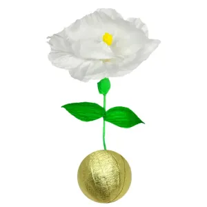 Mini Surprise Flower Bulb
