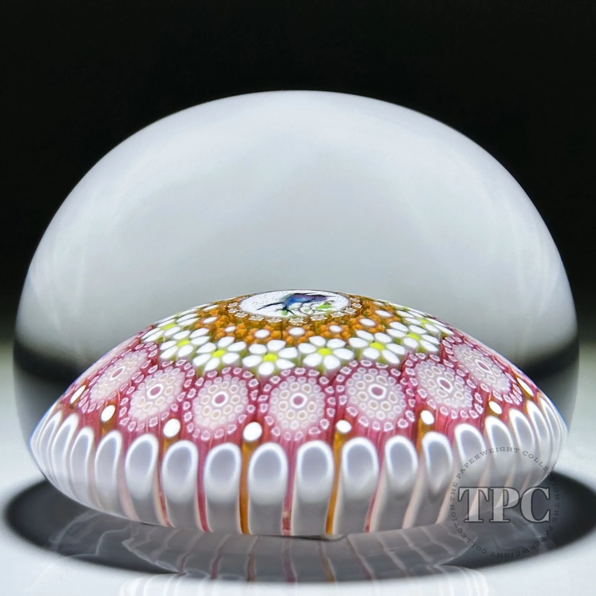 Miniature Michael Hunter Twists Studio 2024 Glass Art Paperweight Concentric Millefiori with Gouldian Finch Murrine