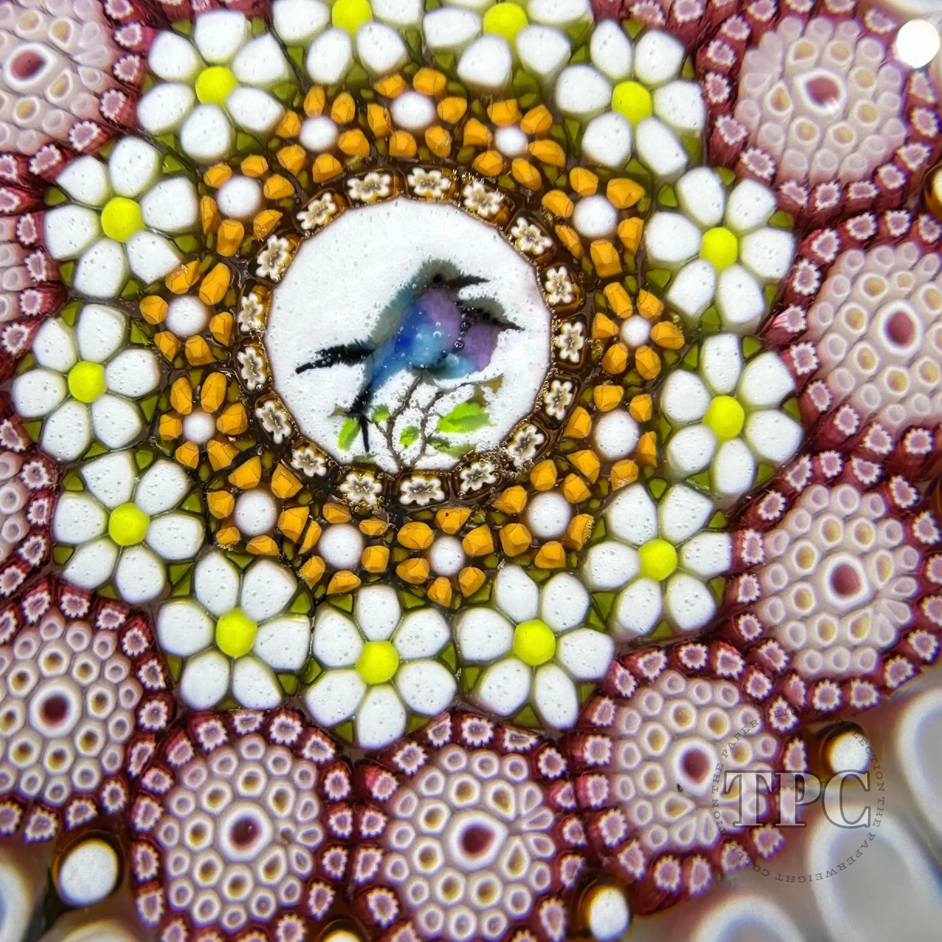 Miniature Michael Hunter Twists Studio 2024 Glass Art Paperweight Concentric Millefiori with Gouldian Finch Murrine