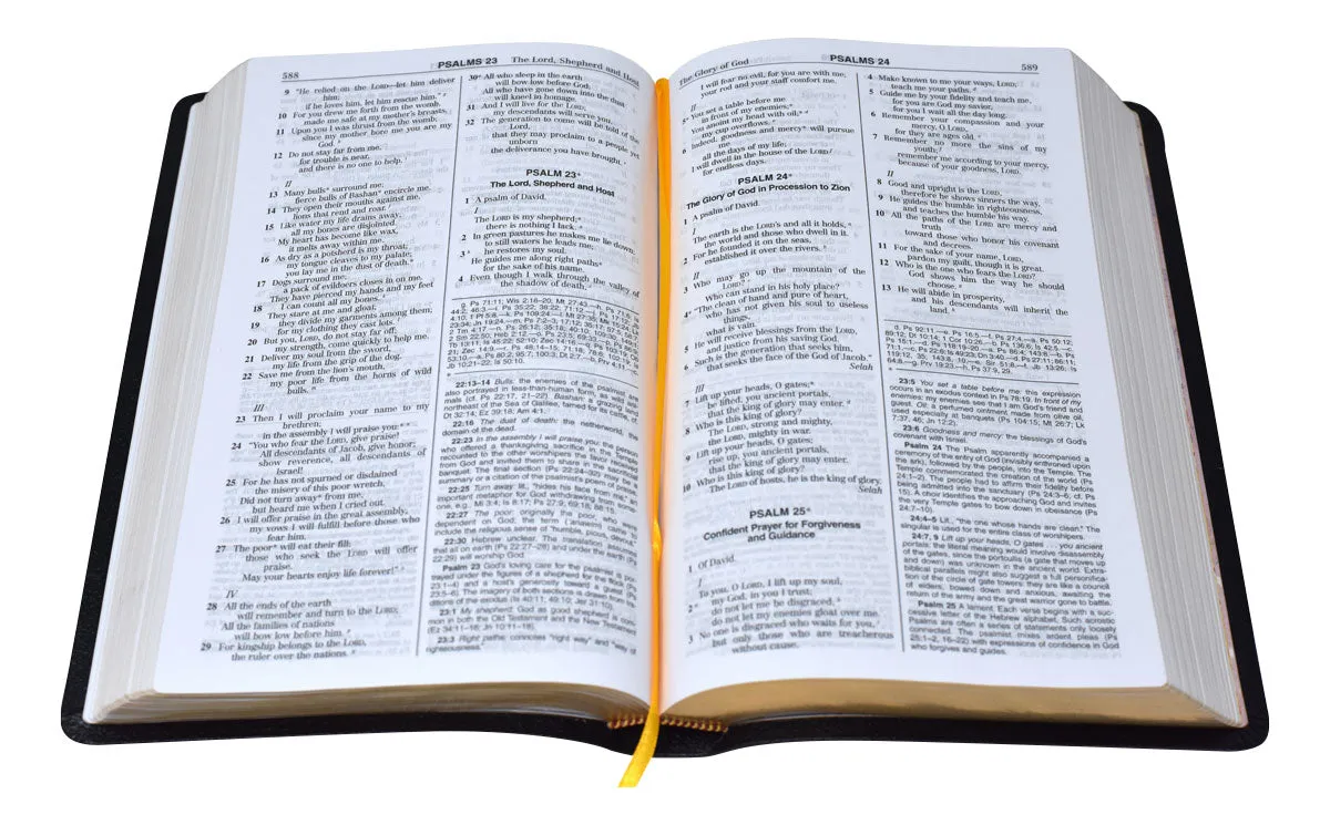 New American Bible (NAB) Deluxe Gift Bible (Bonded Leather) Black