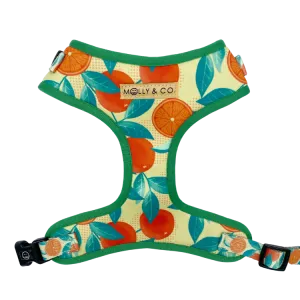 Orange is the New Bark- Adjustable Dog Harness - FINAL SALE