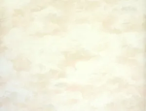 Pink Beige NK18809 Wallpaper