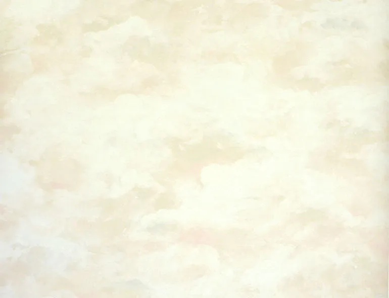 Pink Beige NK18809 Wallpaper