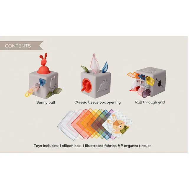 Pop-up Tissue Box
