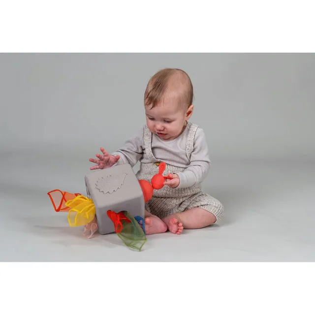 Pop-up Tissue Box