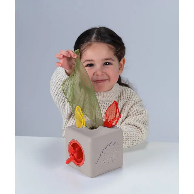 Pop-up Tissue Box