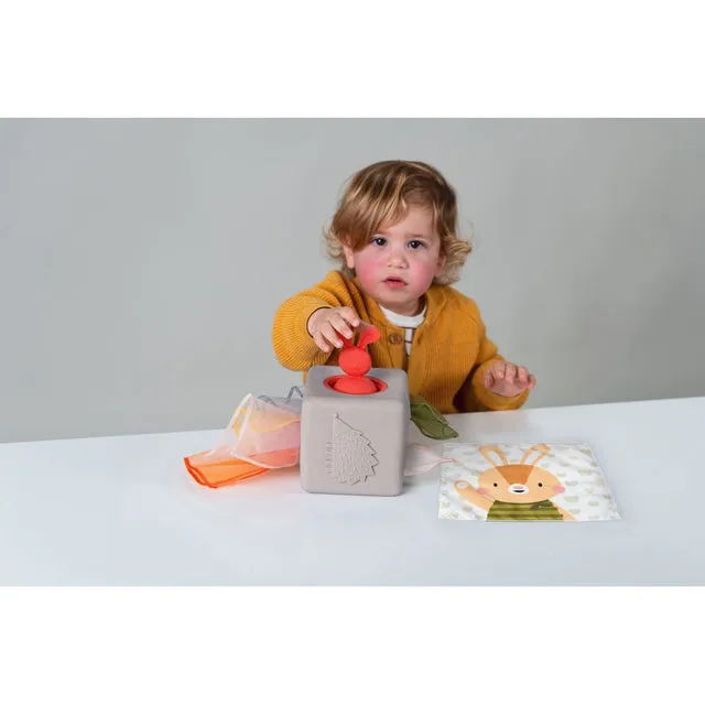Pop-up Tissue Box