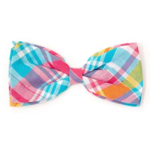 The Worthy Dog Turquoise/Pink/Multi Madras Plaid Bow Tie