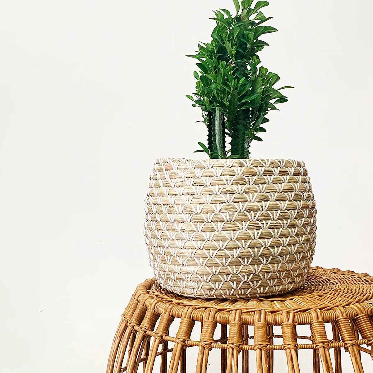 Urban Oasis Ball Basket Chalk Medium