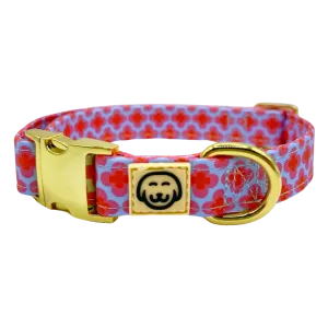 Venezia - Dog Collar